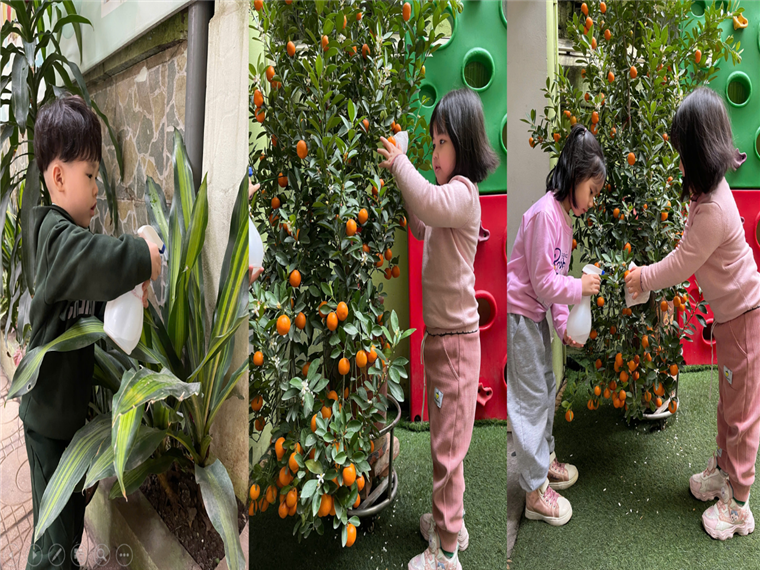 C:\Users\Admin\Pictures\Screenshots\Screenshot (311).png