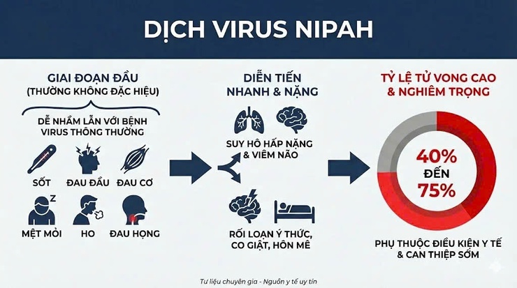 Dịch bệnh do virus Nipah và khuyến cáo của ngành Y tế- Ảnh 3.